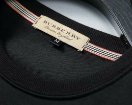 Picture of Burberry SweatSuits _SKUBurberryM-3XL25tn18027405